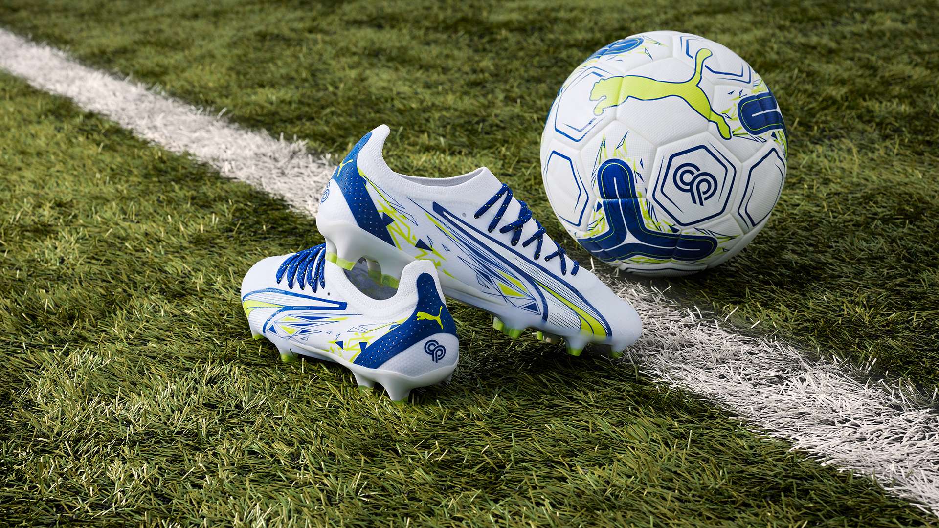 引更多的亚 引更多的亚