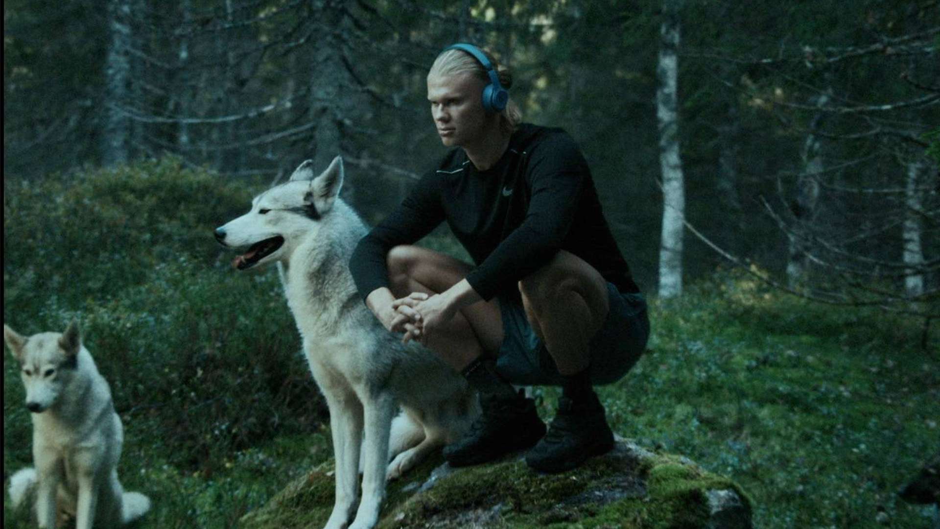 也能有效地 也能有效地